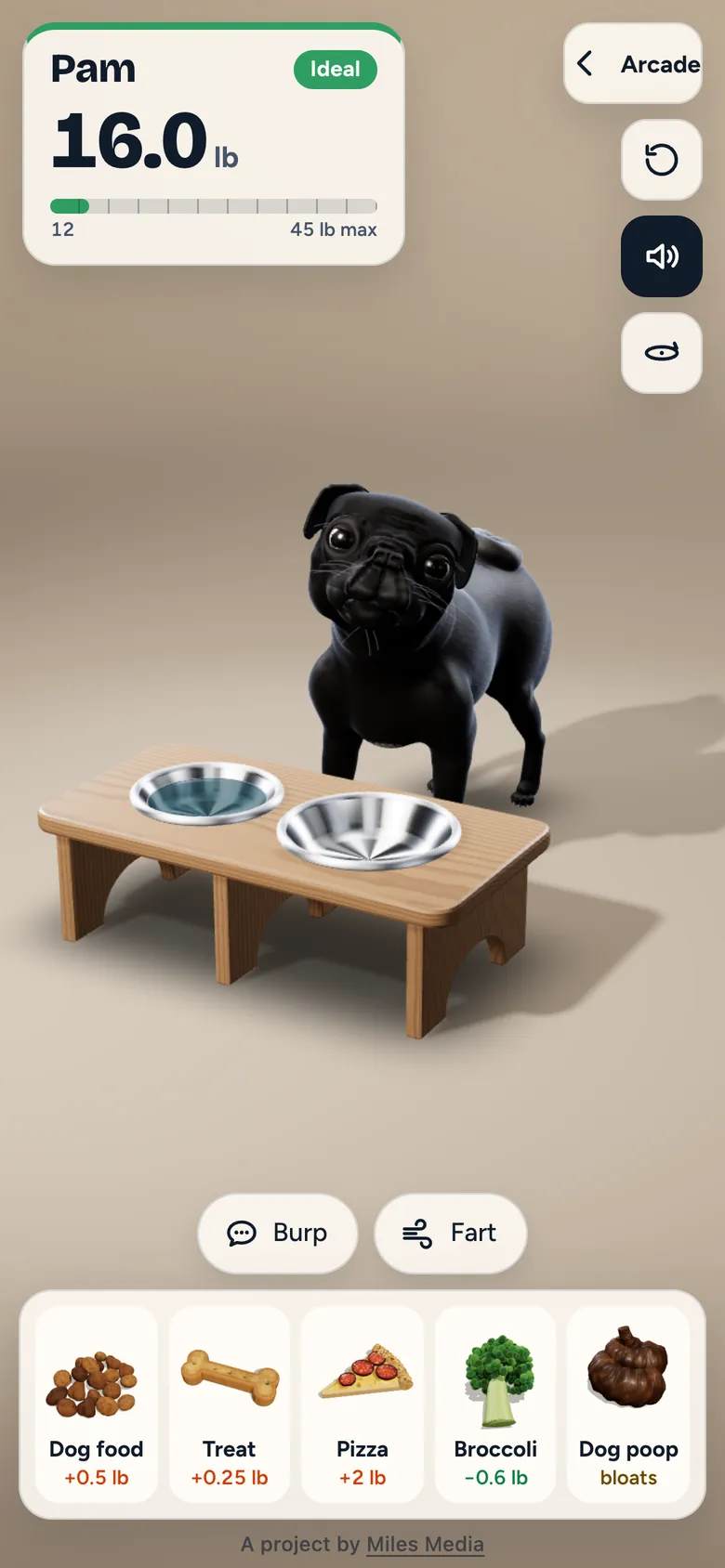 Feed Pam the Pug on a phone